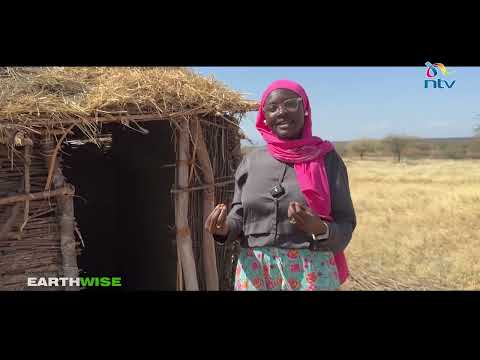 Earthwise: Climate culture clash in Maasai land