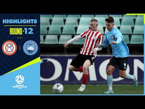 NPL NSW Men's Round 12 – Northbridge Bulls v Sydney FC