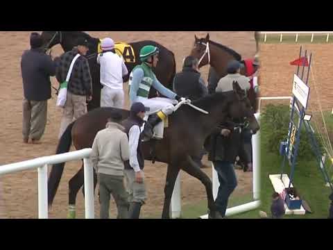 CARRERAS SINT MELO 220807 c06 1° MUCHO LOCO (BRZ)