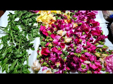 Flori de bujori și Trandafiri uscați  pentru iarnă