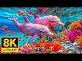 Rare Deep Sea Ocean Creatures in 8K HDR | Dolby Vision™#1 DEFAULT Thumbnail