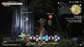 【FF14】#4.1 初めてのFF！エレDC/Uni鯖