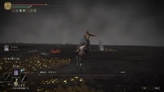 対人やりますエルデの王になる
