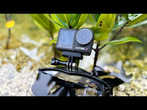 DJI Action 4 | Best Diving Camera I've Ever Used | Hands On Review