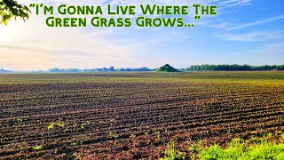 How Fast Does Corn Grow?
