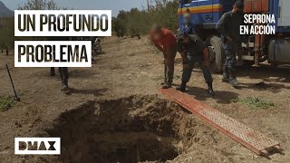 Thumbnail del capítulo