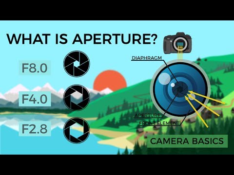 YouTube video about When to Use a Wide (Large) Aperture in Photography (+ Examples)
