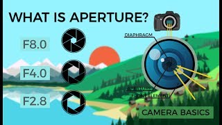 Camera Basics - Aperture
