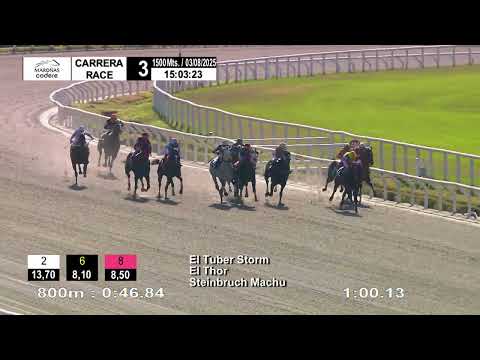 03/08/2025 – Hipodromo Maroñas – Carr 3 – MALANDRINO (2017)