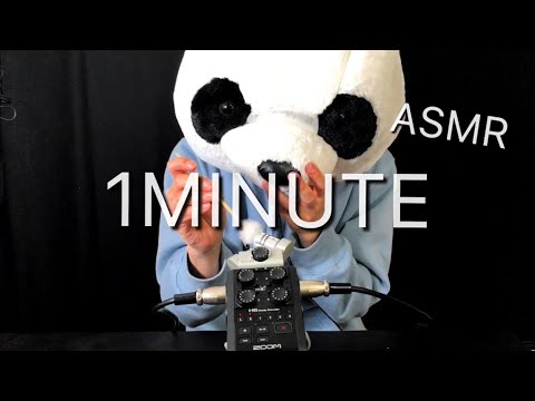 One Minute ASMR 速い梵天耳かき Video