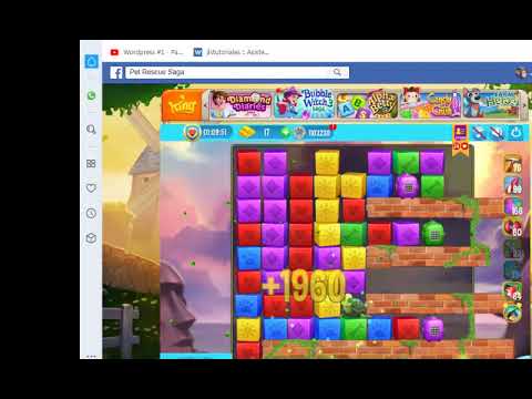 Pet Rescue level 3291, pet rescue, nivel 3291 pet rescue solucionado, solved, sin booster3291