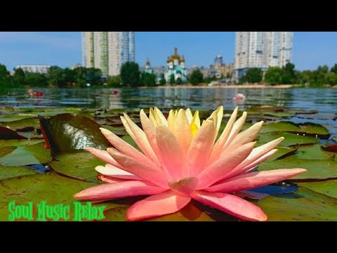 Relaxing music to relax the mind, heart from stress and anxiety | Edgar Tuniyants