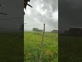 Rain WhatsApp Status Rain WhatsApp Status Video Barish Status Rain Day Natural Whatsapp Status