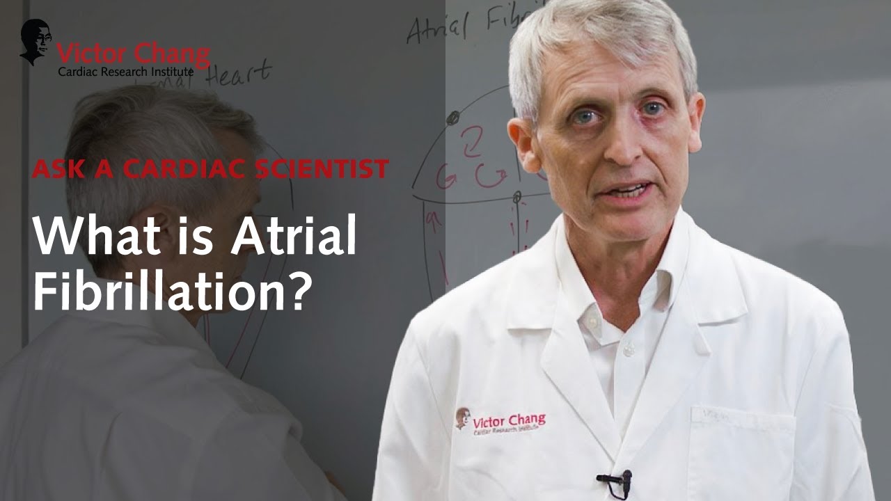 AFib causes, symptoms, diagnosis and treatment | Cardiac scientist Prof Vandenberg explains