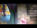 VID 20200415 103340091
