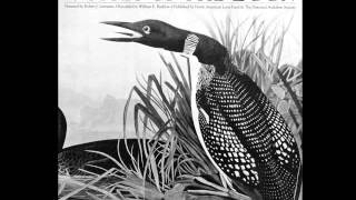 Voices of the Loon Cassette Tape Sides 1 & 2