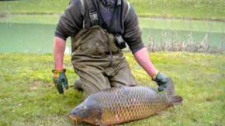 preview picture of video 'Carp stocked in Smallwater lake France.'
