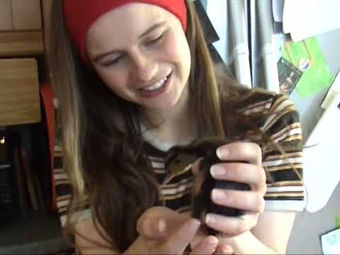 Gabrielle Aplin -  Go Be Free