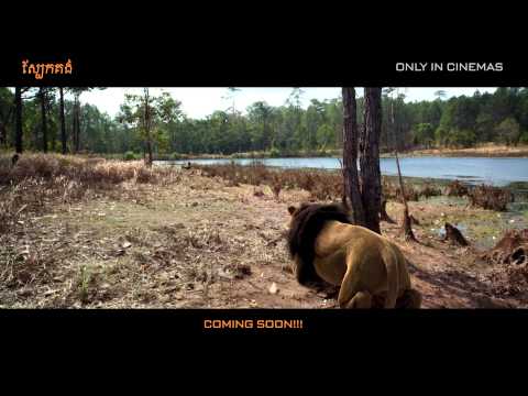 ស្បែកគង់