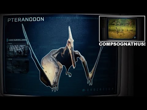 PTERANODON SPECIES PROFILE! & COMPSOGNATHUS! | Return To Jurassic Park DLC Species Profiles!