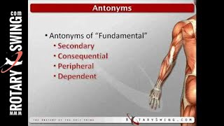 Understanding Golf Fundamentals: Key Insights for Improvement