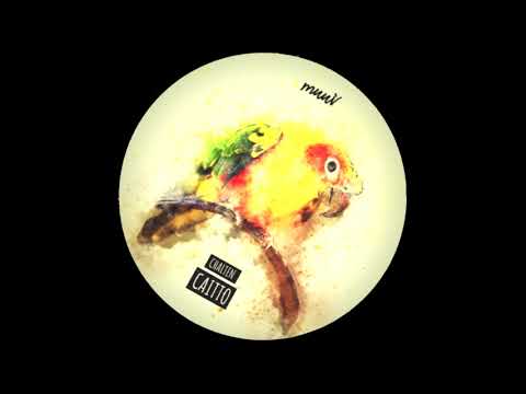 CAITTO - CHALTEN (Original Mix)