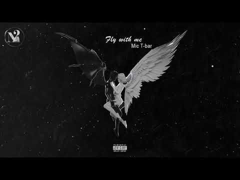 Mic T-bar - Fly with me (visualizer)