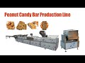 Peanut Candy Production Line Peanut Brittle Making Machine Groundnut Chikki Peanut Bar Machine