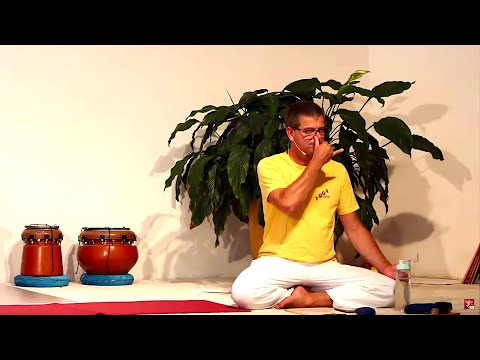 Yogastunde Mittelstufe "meditatives Halten" mit Mahavira - Yoga Vidya Live,  23.03.2022, 16:15 Uhr