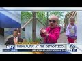 Dinosauria At The Detroit Zoo