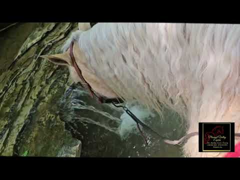 youtube preview