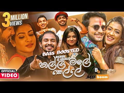 Nalla Male Kelle (නල්ල මලේ කෙල්ලේ) Dilnuk Ranmila remake bass boosted song