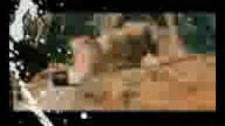 Gregorian Chant Ordinary World