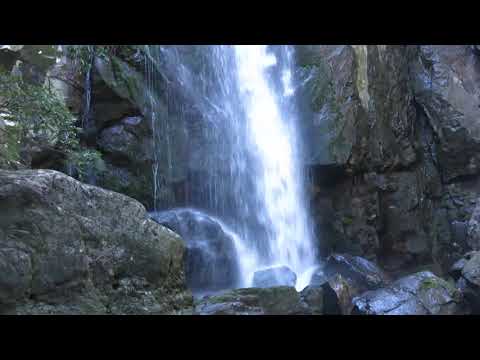 鮎屋の滝 （兵庫県洲本市）