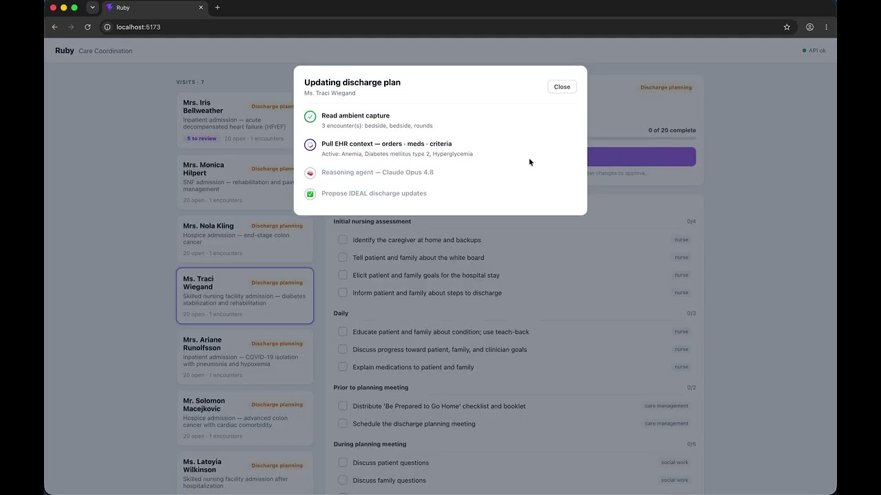 Ruby Discharge Agent project preview