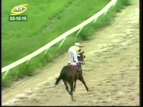 Resumen Viernes, 02 de Octubre de 2015 - Valencia