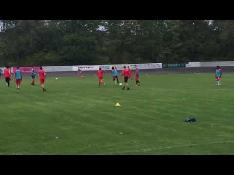 Vfv Borussia 06 Hildesheim  anderson