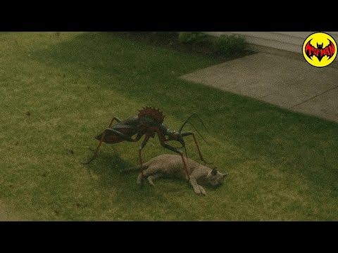 ¡Algo ATACÓ a su Perro! 15 Encuentros Aterradores con Criaturas Extrañas