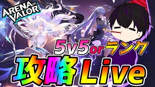 【アリヴァラ】アリヴァラやります！【アリーナオブヴァラー】【AOV】
