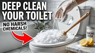 How to Deep Clean Your Toilet Naturally: No Bleach, No Chemicals!