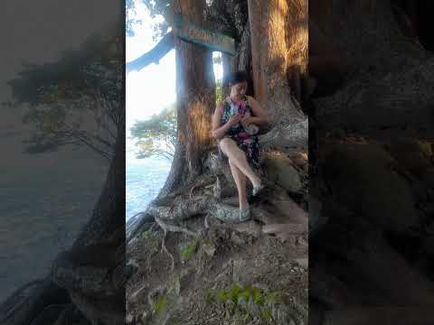 Mirador La Ceiba Sapzurro Acandi Choco