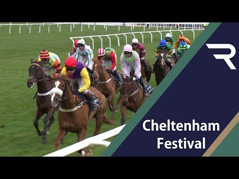 Cheltenham Preview - Gold Cup - 2019 - Racing TV
