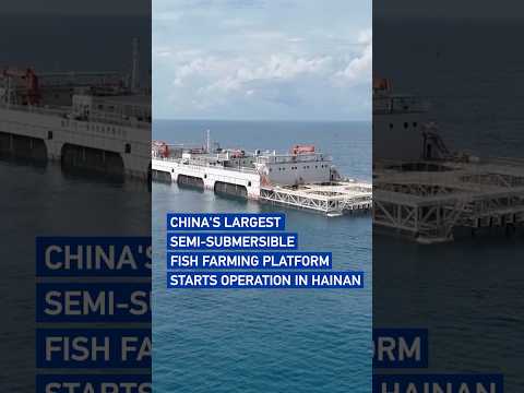 China's largest semi-submersible fish farming platform starts operation in Hainan