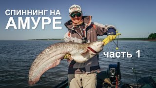 Ловля чебака на амуре в комсомольске осенью