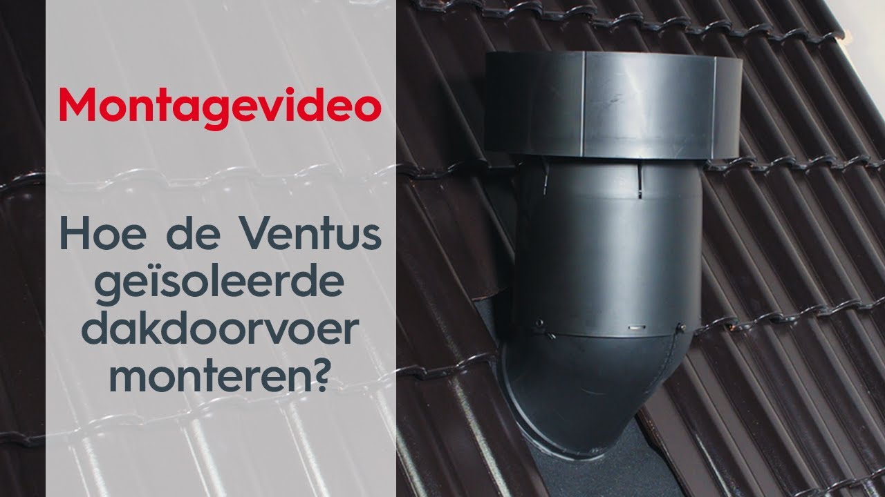 Ventus montagevideo