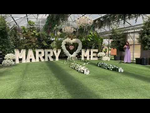 Promotional video thumbnail 12 for Alma Elegance Violin