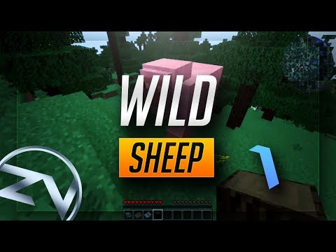Wild Sheep | Minecraft FTB Direwolf 20 - Ep1