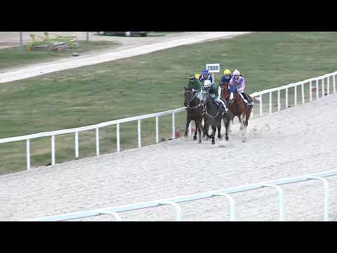 2021.04.04. 08. futam - AMATŐRVERSENY HENDIKEP (V.o.) (szintetikus pálya)