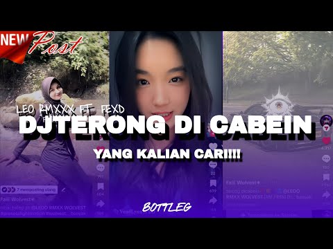 DJ TERONG DI CABEIN YANG KALIAN CARI!!! BOTTLEG   - feat @fexdprod