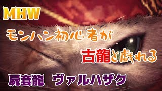 【MHW】モンハン初心者が古龍と戯れる【ヴァルハザク】